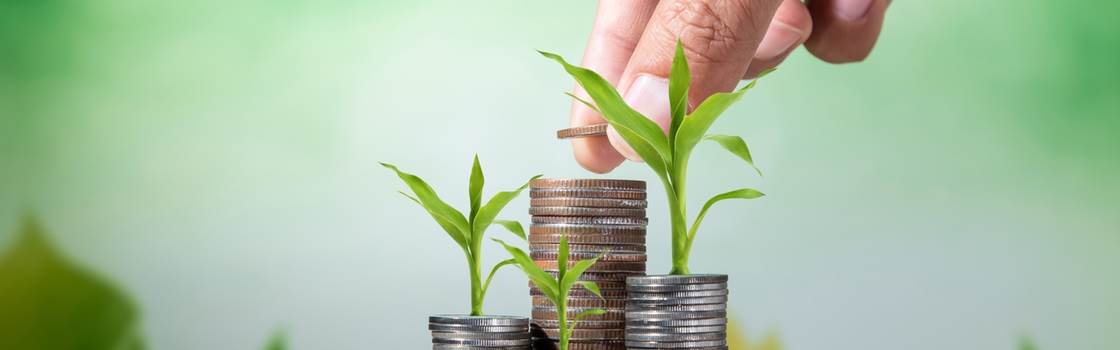 Franchising loans