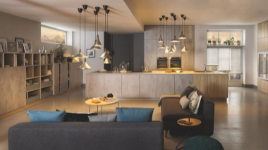 Schmidt home working offices