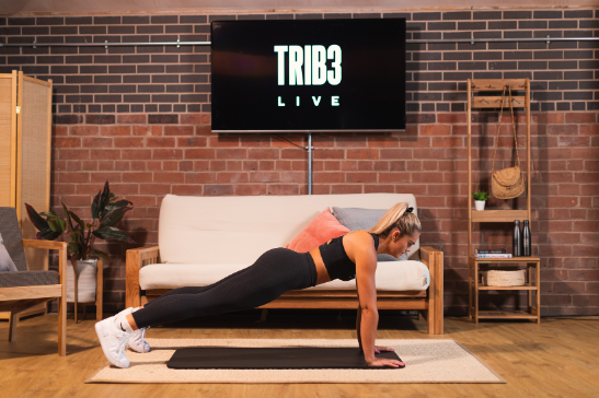TRIB3 LIVE 