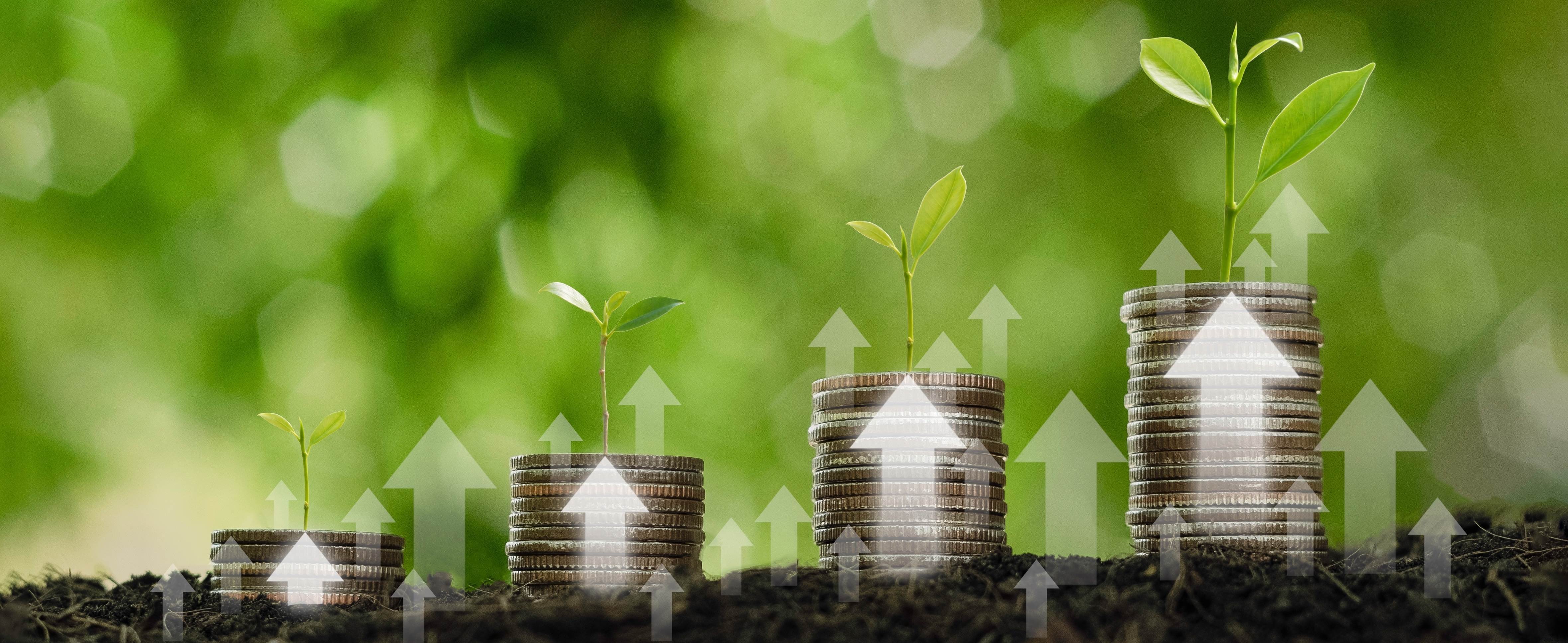 managing your cashflow
